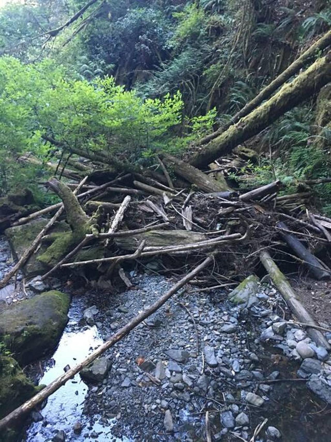 The Great Escape - Port Renfrew Exterior foto